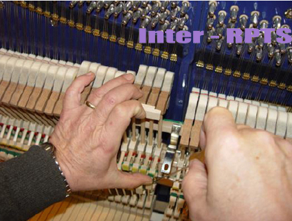 1518443476586939.jpg 3-1-.jpg