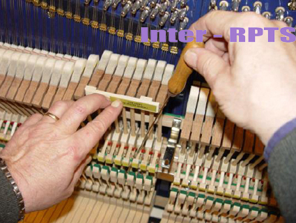 1518443489674051.jpg 3-2-.jpg