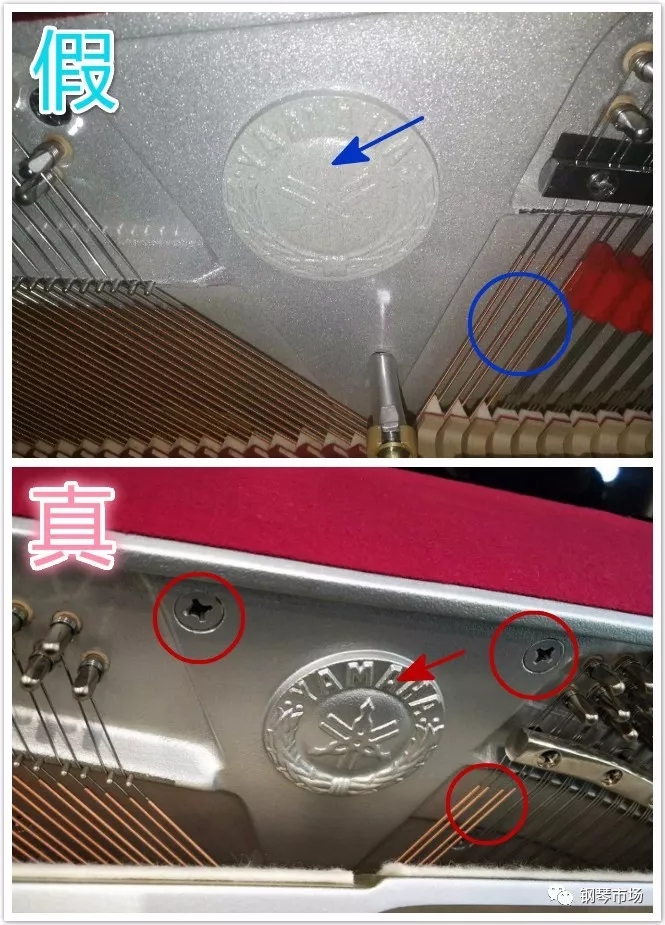 1528682818910471.jpg 3.jpg