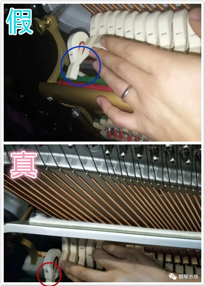 1528682842352094.jpg 4.jpg