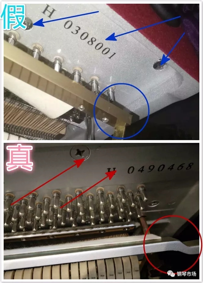 1528682881483859.jpg 6.jpg