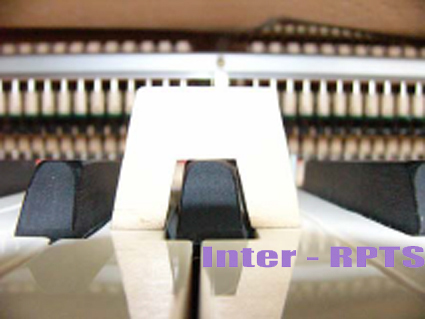 1537143823682531.jpg 10-4.jpg