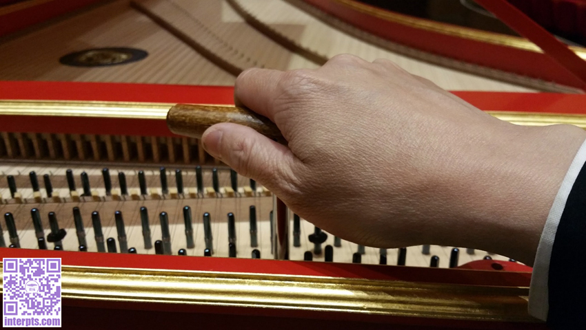 1560580506366811.jpg 12-.jpg