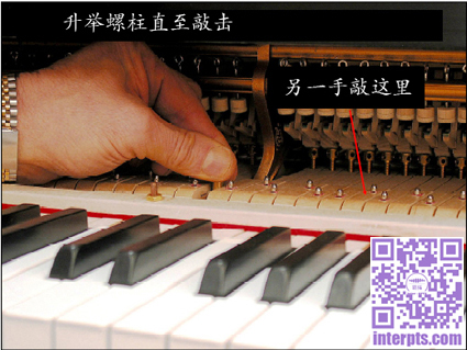 1571549977861304.jpg 5.jpg