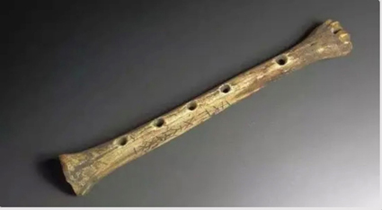 1667006325106908.jpg 10.jpg