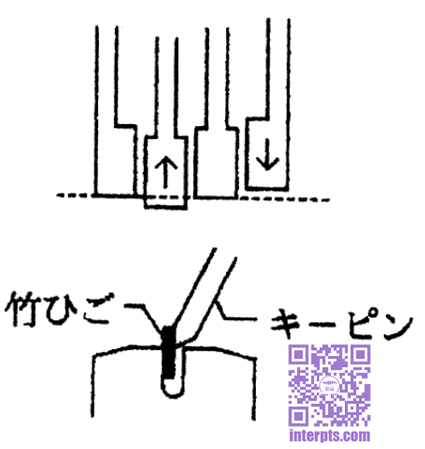 1726187828167959.jpg 9-.jpg