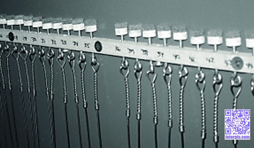 1764414387135817.jpg 6A71+.jpg