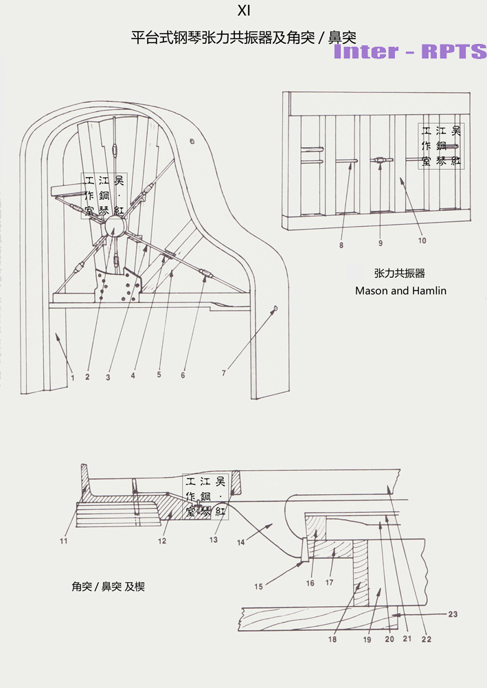 11  平台式钢琴张力共振器及角突(鼻突) ptg 西雅图 1981 图解